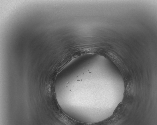 X0000059820424200510281736