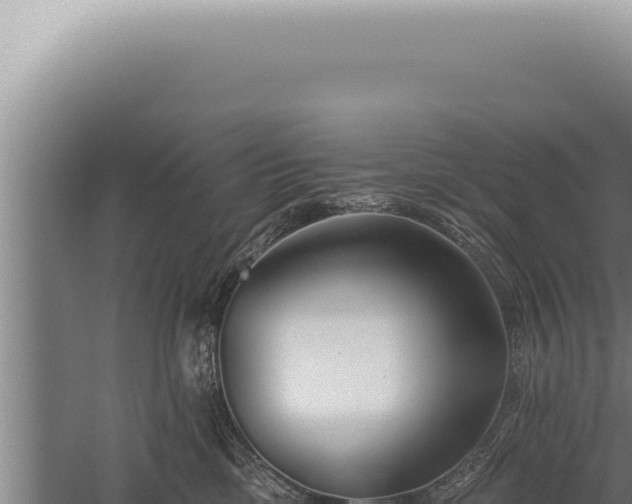 X0000059820425200510281736