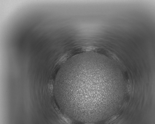 X0000059820427200510281736