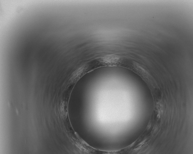 X0000059820428200510281736