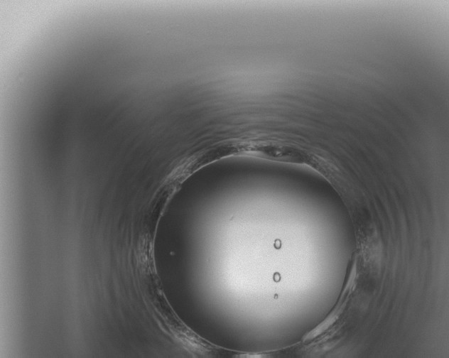 X0000059820429200510281736