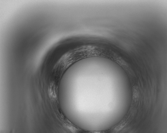 X0000059820431200510281736