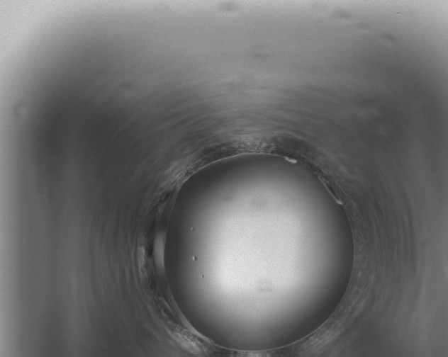 X0000059820432200510281736