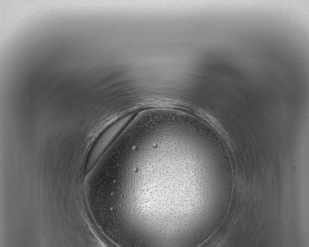 X0000059820433200510281735