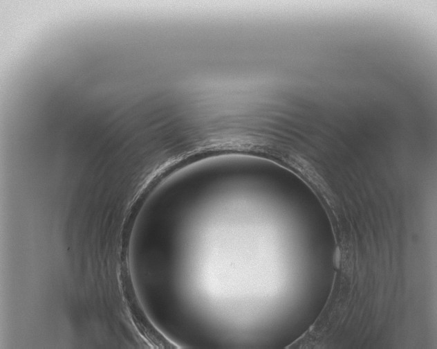 X0000059820434200510281735