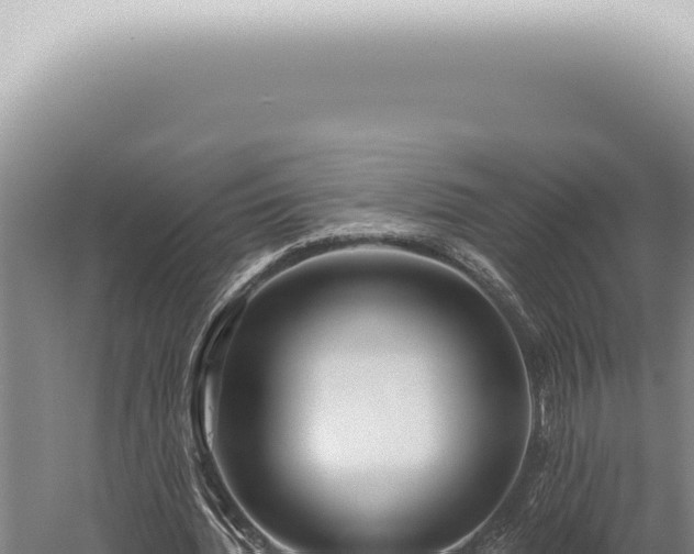 X0000059820436200510281735