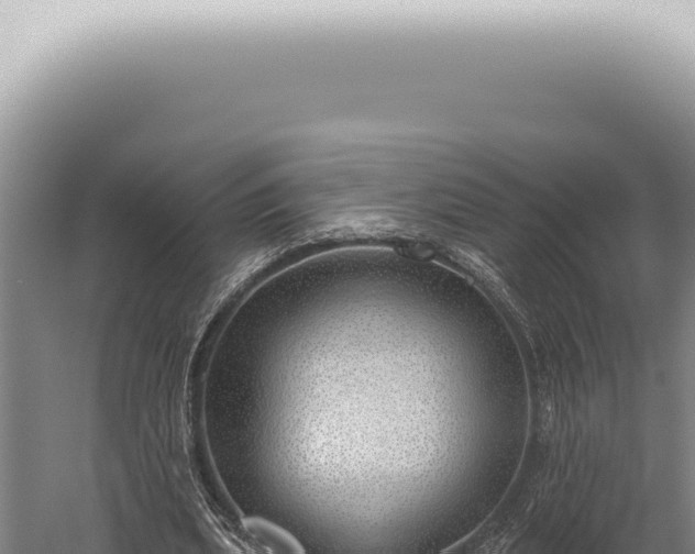 X0000059820439200510281736