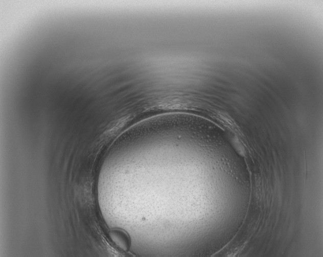 X0000059820441200510281736