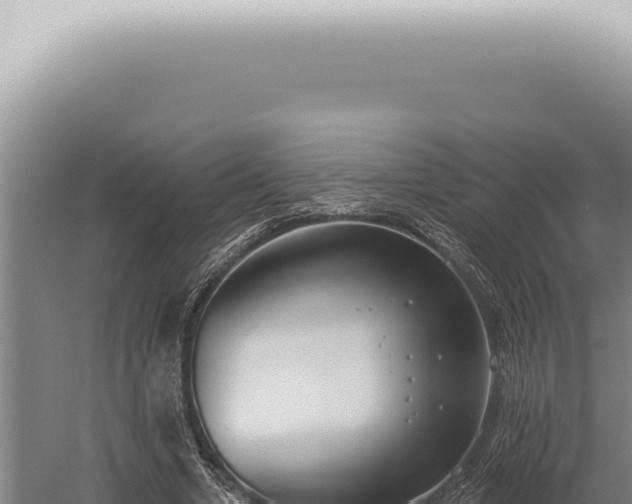 X0000059820442200510281736