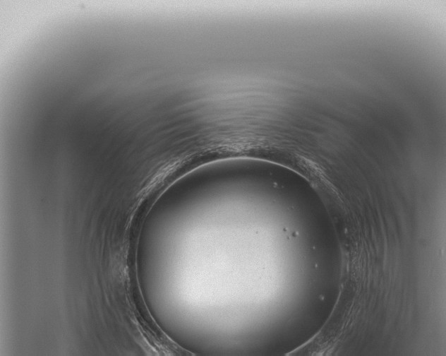 X0000059820443200510281736