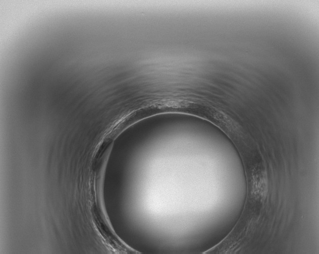 X0000059820444200510281736