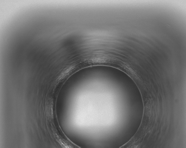 X0000059820446200510281736