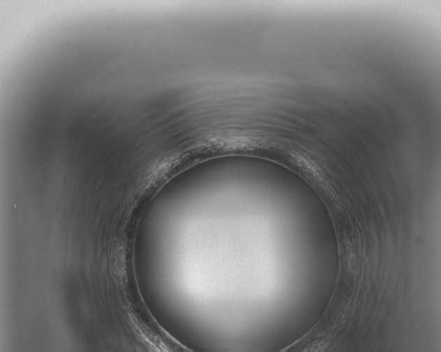 X0000059820447200510281736