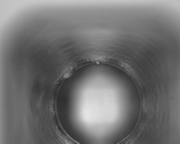 X0000059820449200510281736