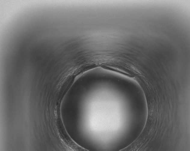 X0000059820452200510281736