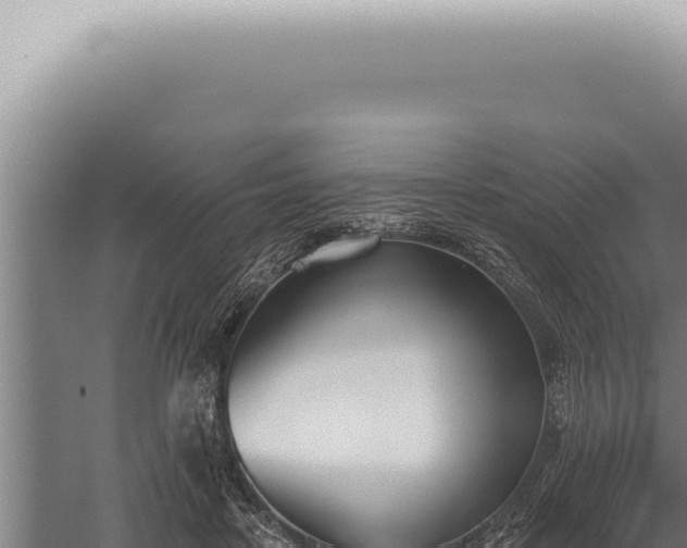 X0000059820458200510281736