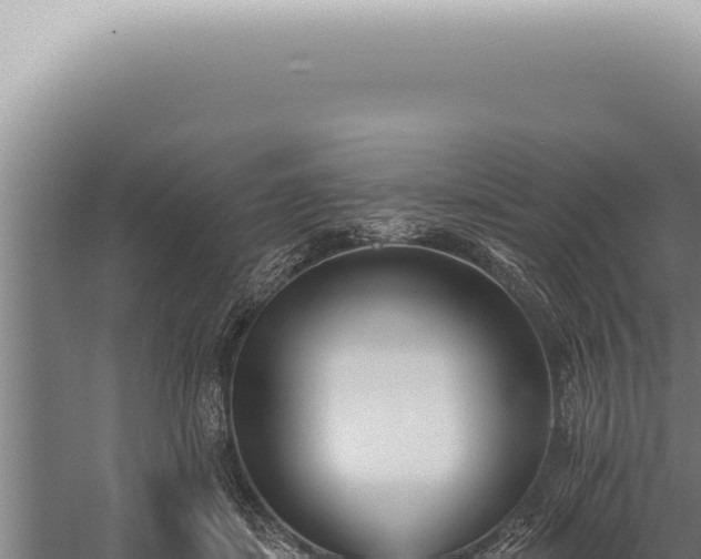 X0000059820459200510281736