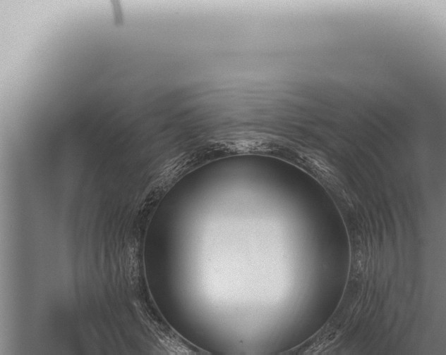 X0000059820461200510281736