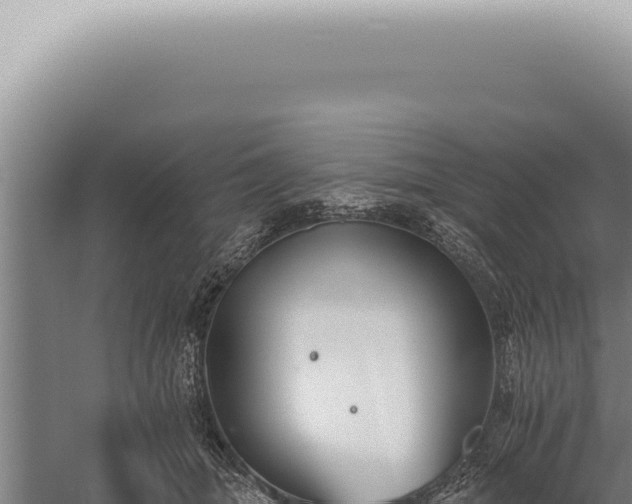 X0000059820463200510281736