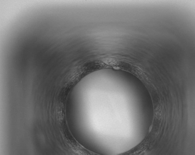 X0000059820464200510281736