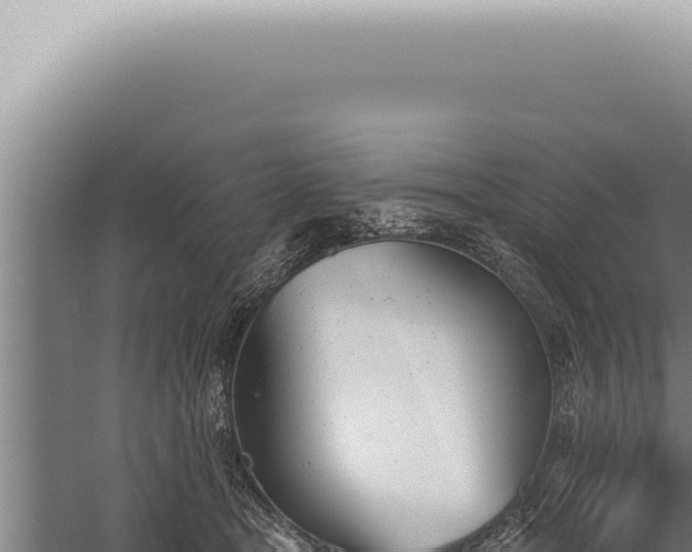 X0000059820465200510281736