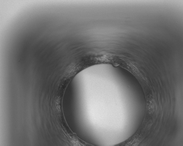 X0000059820466200510281736