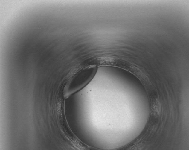 X0000059820468200510281736