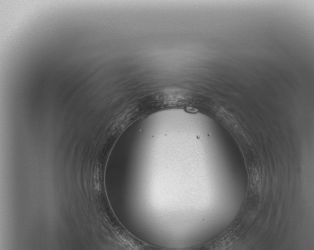 X0000059820470200510281736