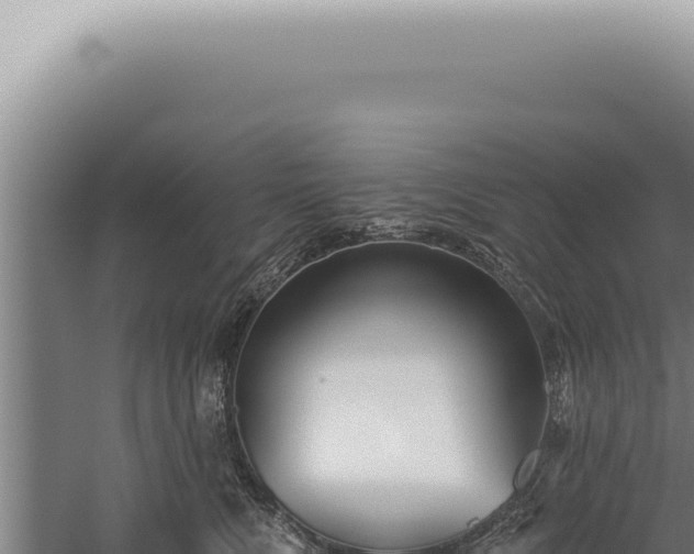 X0000059820472200510281736