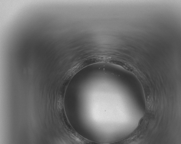 X0000059820474200510281736