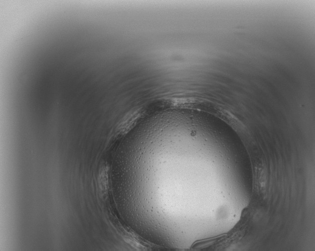 X0000059820475200510281736