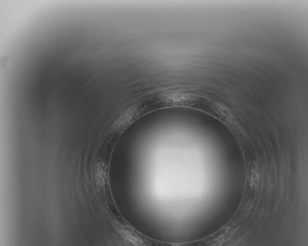 X0000059820476200510281736