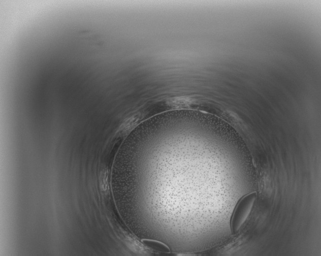 X0000059820477200510281736