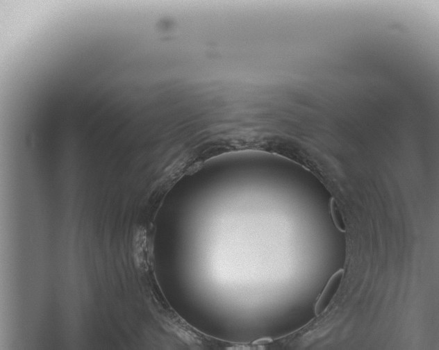 X0000059820480200510281736