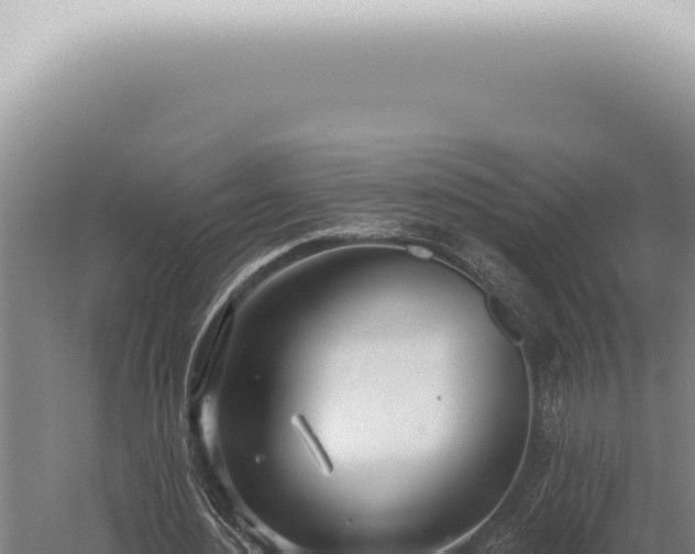 X0000059820484200510281735