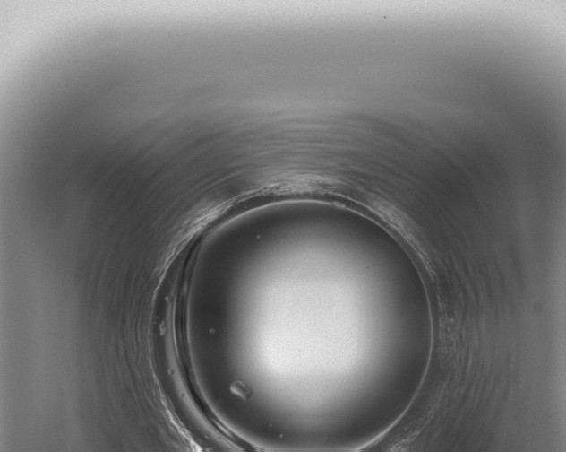 X0000059820485200510281735