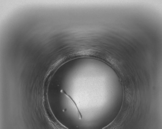 X0000059820486200510281735