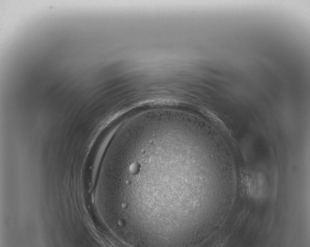 X0000059820487200510281735