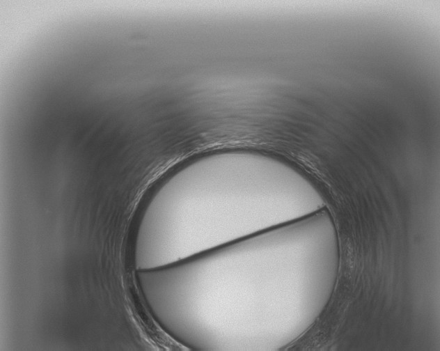 X0000059820491200510281735