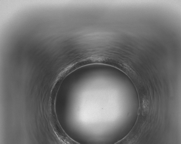 X0000059820492200510281735