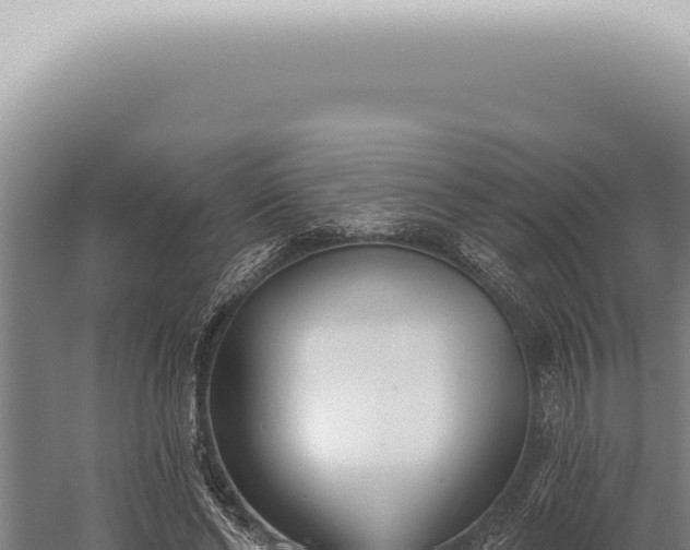 X0000059820494200510281735