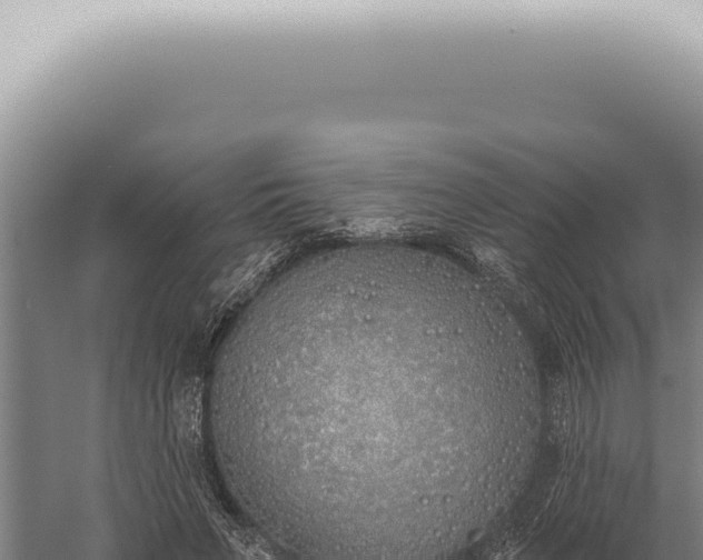 X0000059820495200510281735