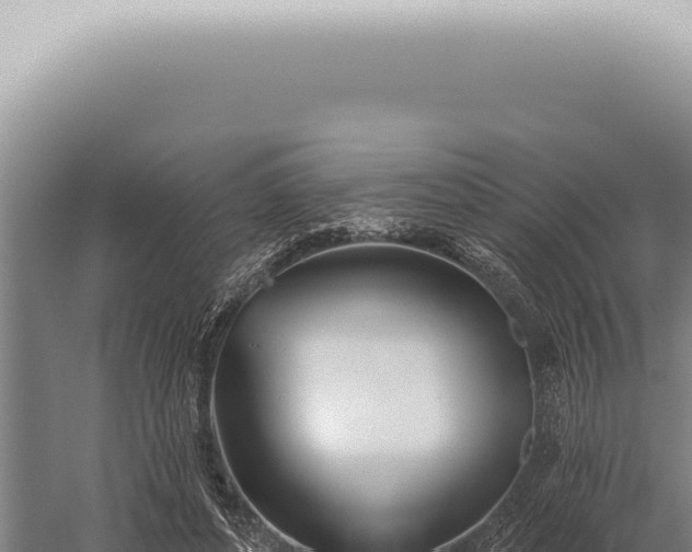 X0000059820496200510281735