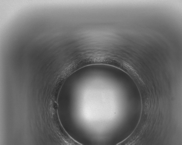 X0000059820497200510281735