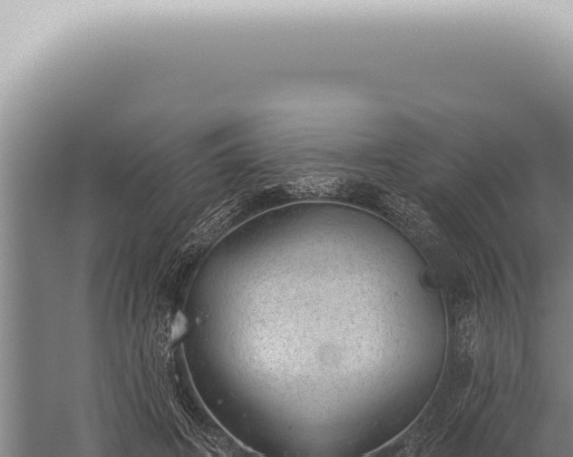 X0000059820498200510281735