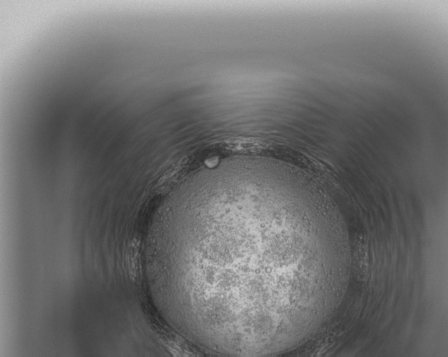 X0000059820511200510281735