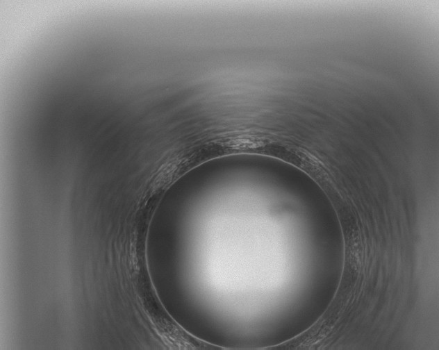 X0000059820512200510281735