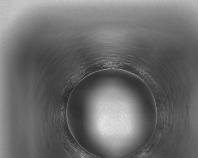 X0000059820513200510281735