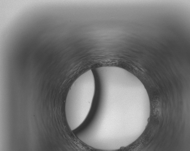 X0000059820515200510281735