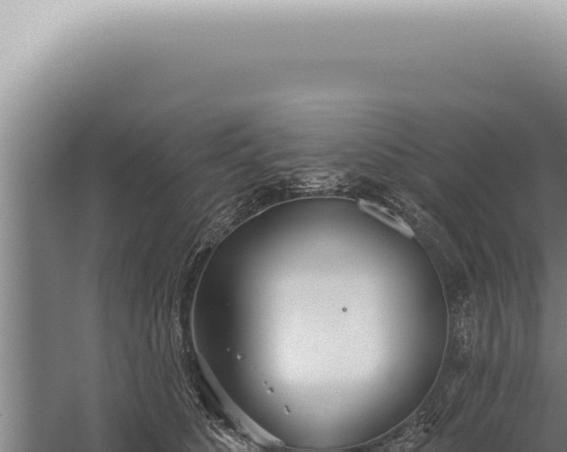 X0000059820516200510281735